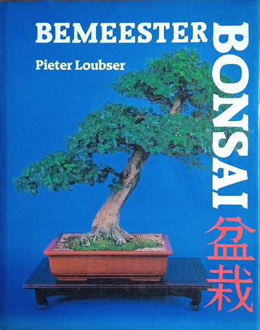 Bemeester Bonsai | Pieter Loubser