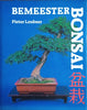 Bemeester Bonsai | Pieter Loubser