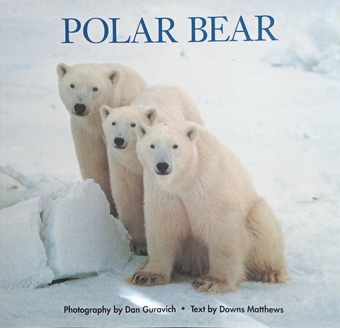 Polar Bear | Photography by Dan Guravich, Text by Downs Matthews