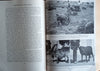 The World Was My Garden: Travels of a Plant Explorer | David Fairchild