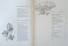 The Complete Book of Edible Landscaping: Home Landscaping with Food-Bearing Plants and Resource-Saving Techniques | Rosalind Creasy