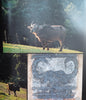 Sahyadris: India's Western Ghats - A Vanishing Heritage [Signed and Inscribed] | Sandesh Kadur, Kamal Bawa