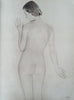 Artist's Model | John Everard