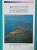 Lagoon of Venice, From Tocello to Chioggia