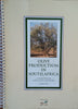 Olive Production in South Africa: A Handbook  for Olive Growers | Carlo Costa