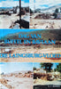 Dag van die Buffel en die Baviaan; Die Laingsburg-Vloed [Signed by the author] [ Afrikaans] | G.F. Marais