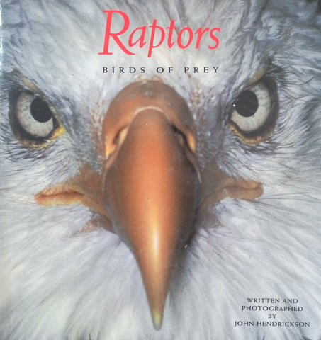 Raptors: Birds of Prey | John Hendrickson