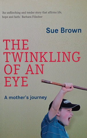 The Twinkling of an Eye: A Mother's Journey | Sue Brown