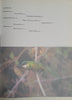 Venezuela, Paradise of Birds [Limited edition] | Carlos Ferraro and Miguel Lentino