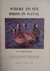 Where to See Birds in Natal | Gordon Bennett
