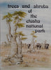 Trees and Shrubs of the Etosha National Park | Cornelia Berry, Illustrated by Blythe Loutit