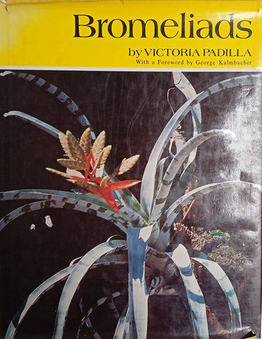 Bromeliads | Victoria Padilla
