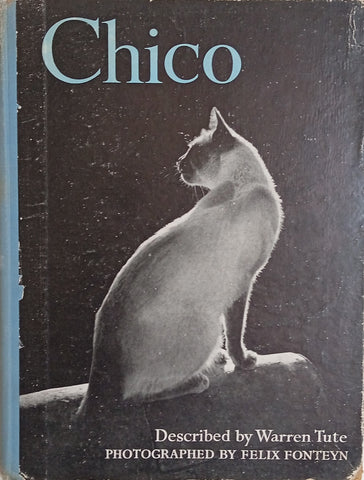 Chico | Text by Warren Tute, photographs by Felix Fonteyn