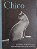 Chico | Text by Warren Tute, photographs by Felix Fonteyn