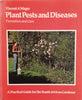 Plant Pests and Diseases Prevention and Cure: A Practical Guide for the South African Gardener | Vincent A. Wager