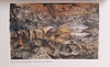The Labyrinthine Nest: The Art of Doris Bloom | Jacob Wamberg