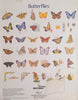 Butterflies for Artista Bernina
