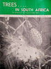 Trees in South Africa: The Journal of the Tree Society of Southern Africa, Vol. XIX, No. 2, July-Sept 1967