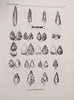 The Stone Age Industries of the Orange River Scheme and South Africa | C.G. Sampson