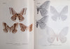Emperor Moths of South and South-Central Africa | Elliott Pinhey