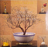 The African Bonsai Collection | Jann Bader