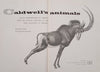 Caldwell's Animals: Colour Reproductions of Animals from the Original Paintings in the Fehr Collection of Africana | William Fehr