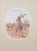 Caldwell's Animals: Colour Reproductions of Animals from the Original Paintings in the Fehr Collection of Africana | William Fehr