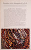 The Bead in Africa: An Introduction [Pamphlet]