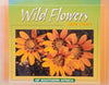 Wild Flowers of Southern Africa