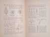 Rambles in Kloof and Mountain: A Natural History Reader for South-African Schools, Vol. 2 | A.J.T. Janse