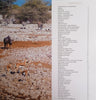 Wilderness Safaris