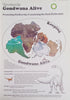 Towards Gondwana Alive: Promoting Biodiversity and Stemming the Sixth Extinction [Possibly signed by theAuthor] | John M. Anderson (ed.)
