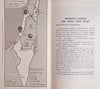 The War of Independence | Aviezer Golan