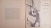 I'm a Panda: The Story of the Baby Giant Panda | Esther Gould