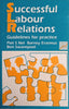Successful Labour Relations: Guidelines for Practice | Piet S. Nel, Barney Erasmus, Ben Swanepoel