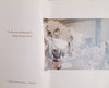 Africatrek: An American Photographer’s Odyssey Through Africa [Possibly signed by the Author] | Jason Lauré