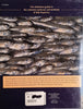Pop Fleyes: Bob Popovic's Approach to Saltwater Fly Design | Ed Jaworowski and Bob Popovics