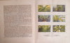 Kamerplanten [Card Book] | Dr. Jac P. Thysse