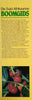 Die Suid-Afrikaanse Boomgids [Afrikaans] | Keith, Paul & Meg Coates Palgrave