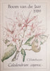 Boom van die Jaar 1989: Calodendrum Capense [Afrikaans] | C.J. Esterhuyse