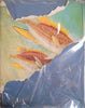 Smith's Sea Fishes | J.L.B. Smith