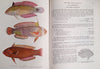 Smith's Sea Fishes | J.L.B. Smith