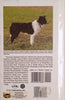 Border Collies | Margaret Collier