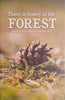 There is Honey in the Forest: The History of Forestry in South Africa | Willem Olivier (comp.)