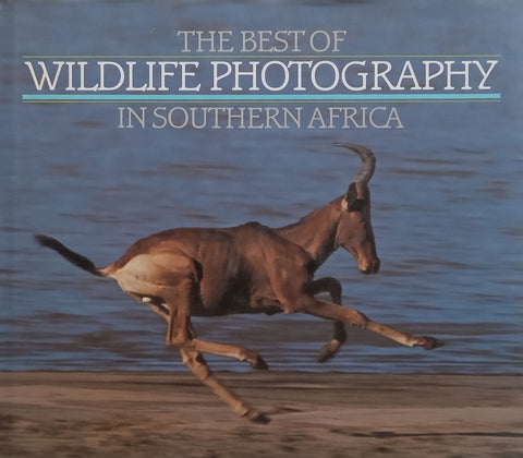 The Best of Wildlife Photography in Southern Africa