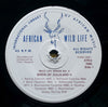 Birds of Zululand Vol. 2 (45RPM Record) | Clem Haagner