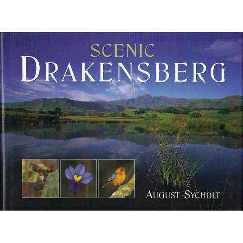 Scenic Drakensberg | Aughust Sycholt
