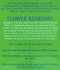 Flower Remedies: An Introductory Guide to Natural Healing with Flower Essences | Christine Wildwood