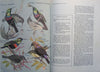 Sunbirds of Southern Africa, also the Sugarbirds, the White-Eyes and the Spotted Creeper (Inscribed by Artist John Perry) | C. J. Skead