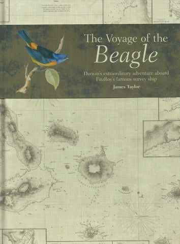 The Voyage of the Beagle: Darwin's Extraordinary Adventure Aboard FitzRoy's Famous Survey Ship | James Taylor